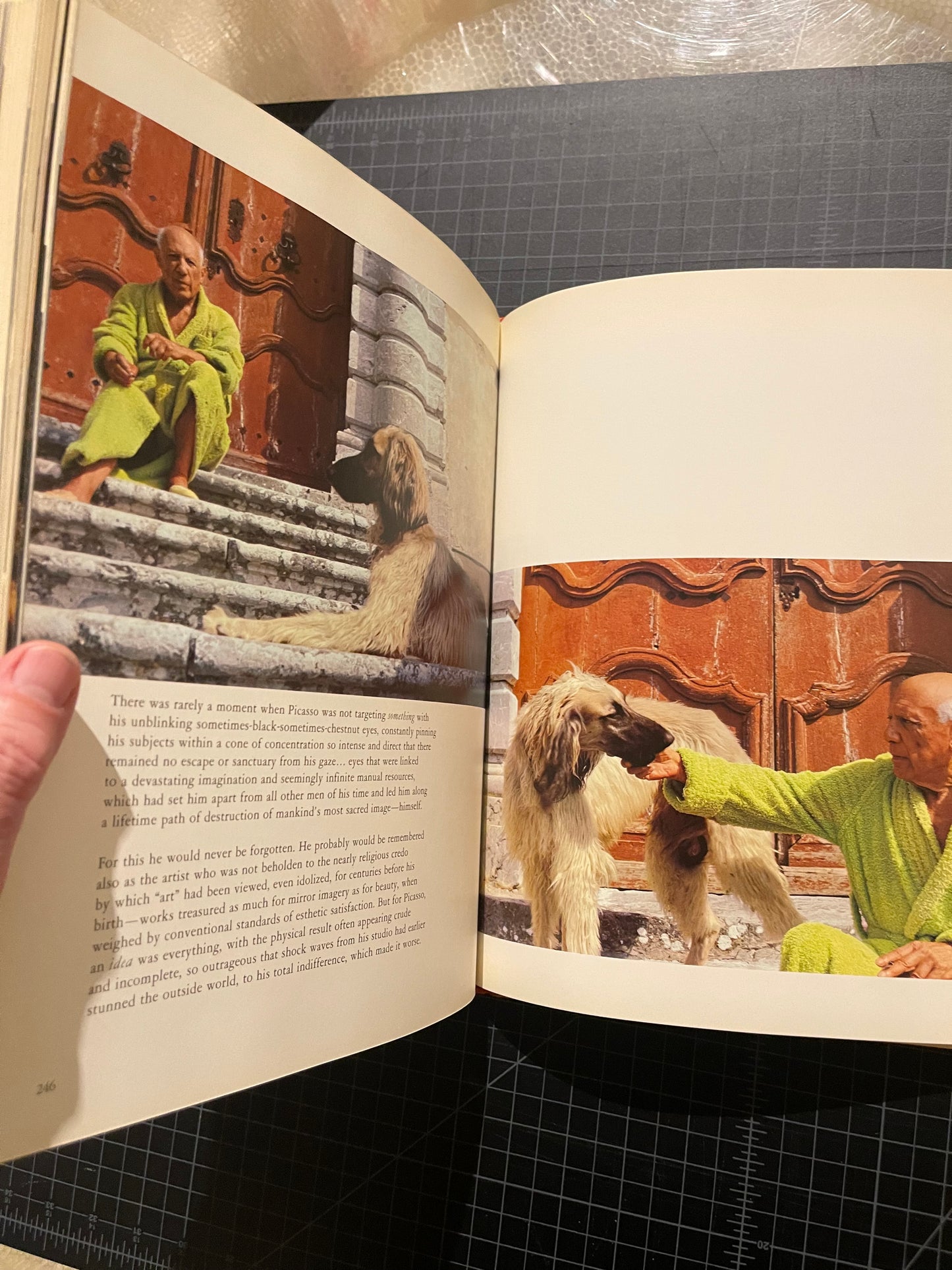 Goodbye Picasso by David Douglas Duncan signed 1st Ed.