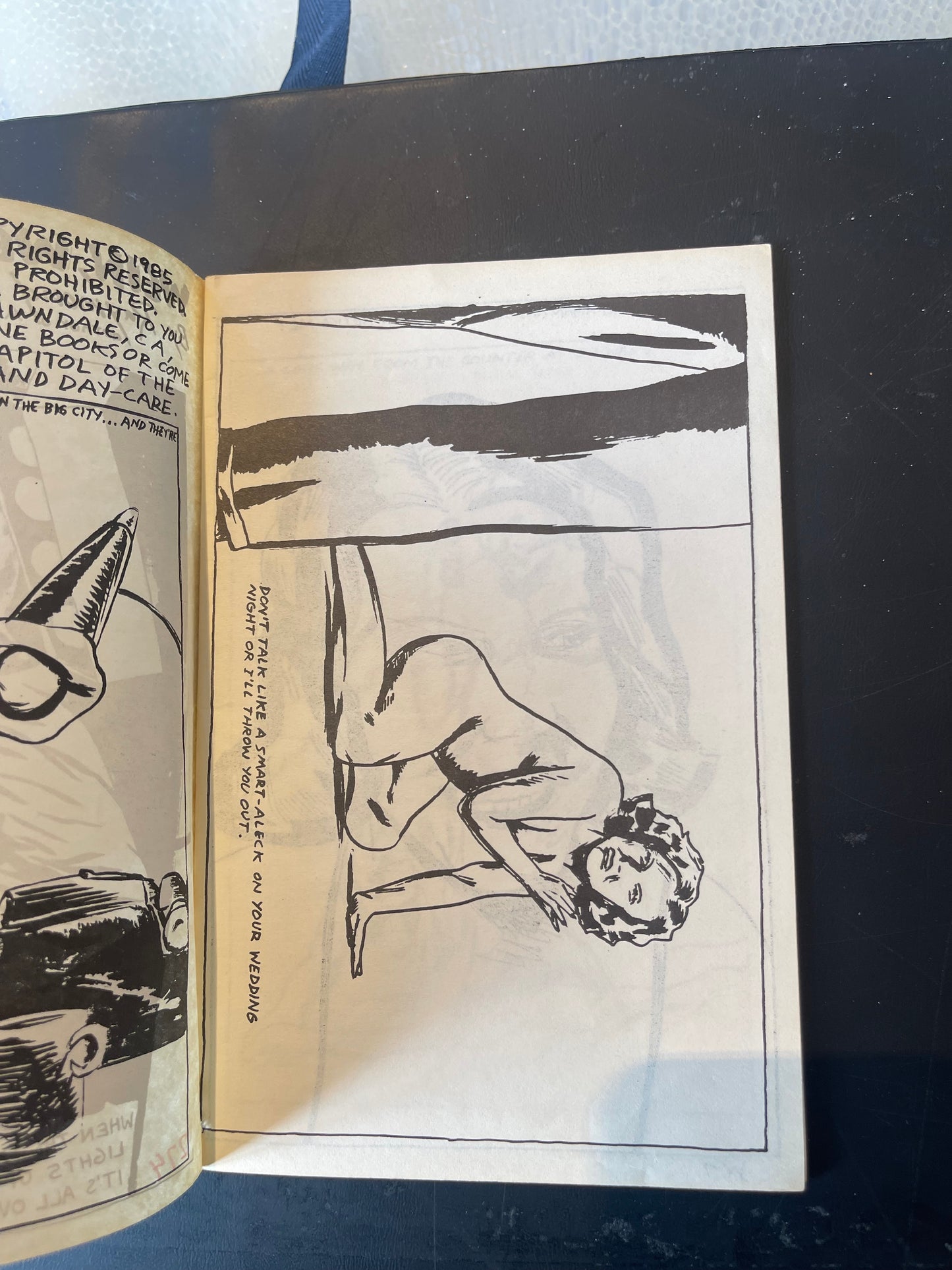 Raymond Pettibon Wein, Weib, Und Gesang Lawndale, CA: SST World Library, 1985 500