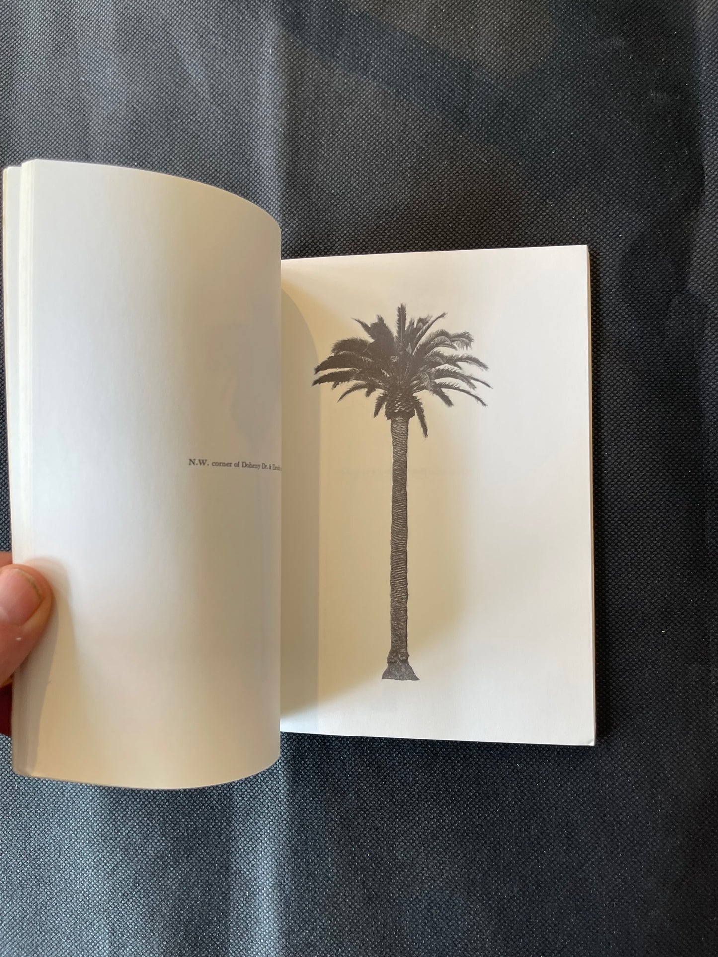 Ed Ruscha A Few Palm Trees 1971 (1st edition)