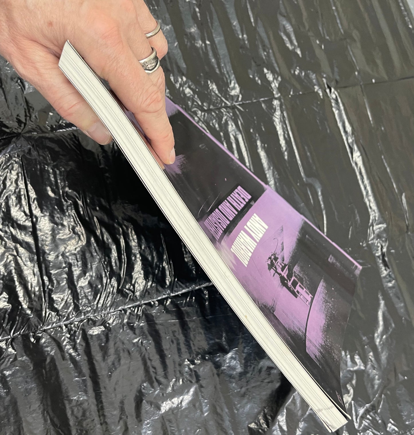 WARHOL, Andy
Andy Warhol: Death and Disasters. 1st Ed.
Houston: Menil Collection, 1988.