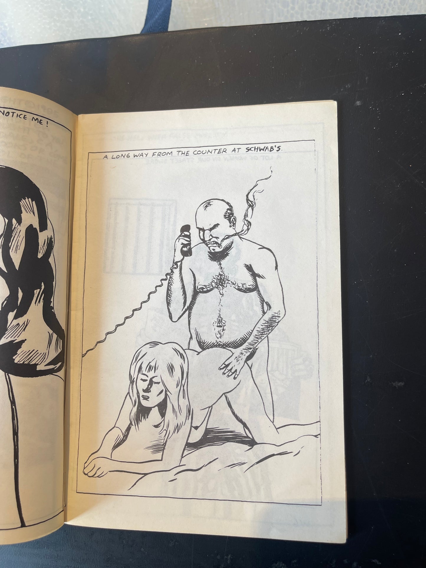Raymond Pettibon Wein, Weib, Und Gesang Lawndale, CA: SST World Library, 1985 500