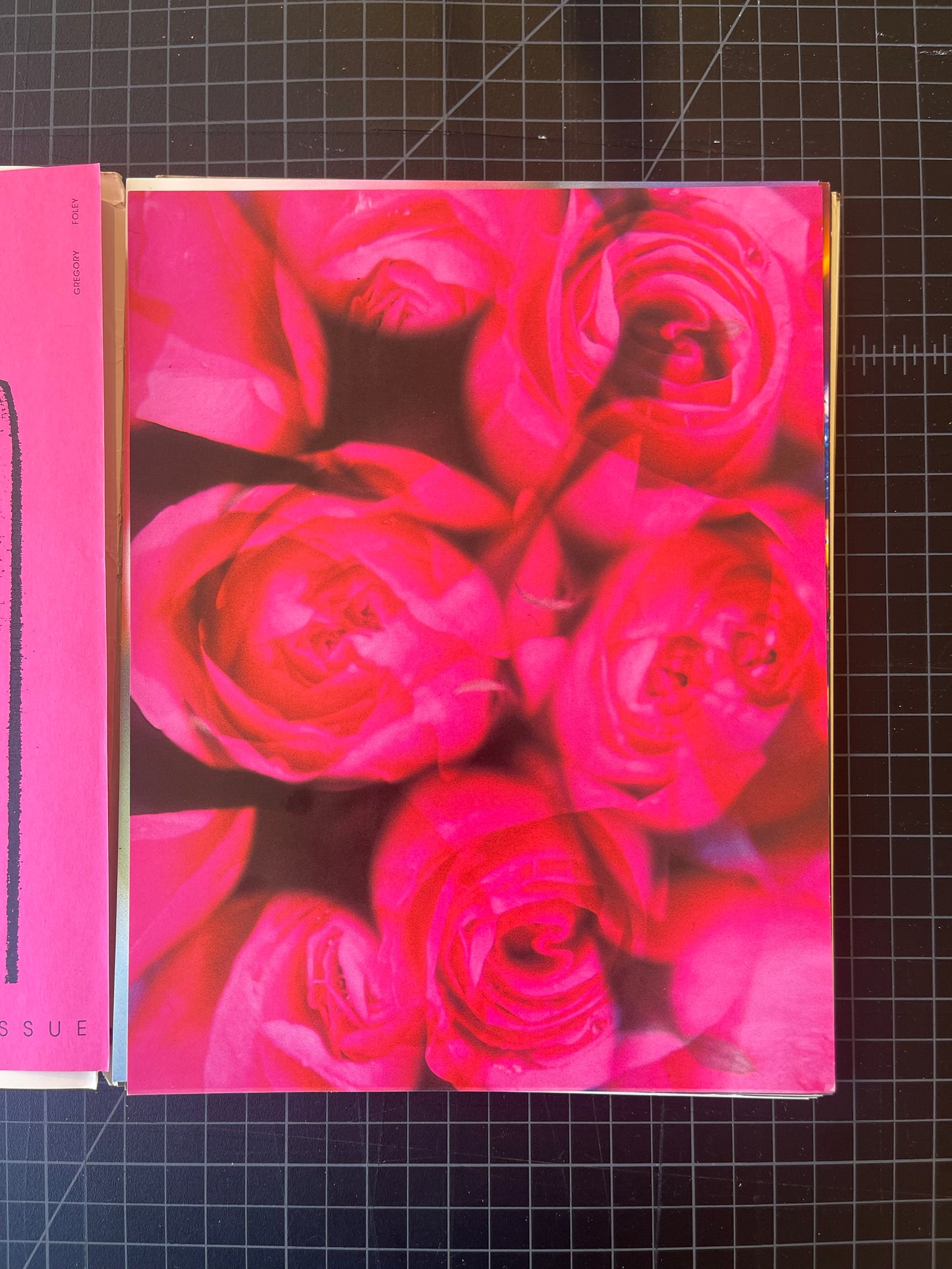 Visionaire Issue 1 "the Innocent issue" #273/1000