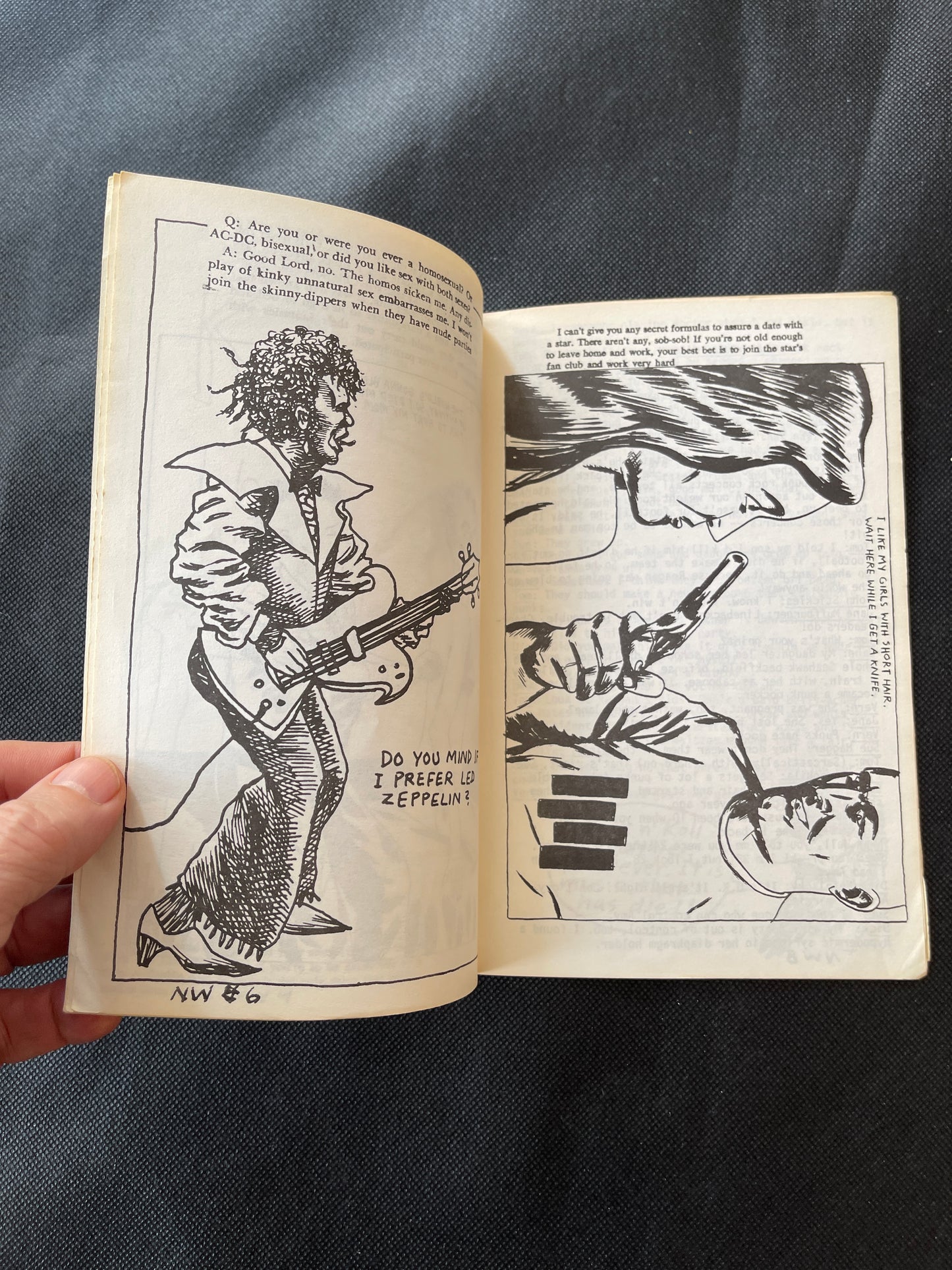 Raymond Pettibon & Nelson. New Wavy Gravy. 1985 limited edition. # 373/500