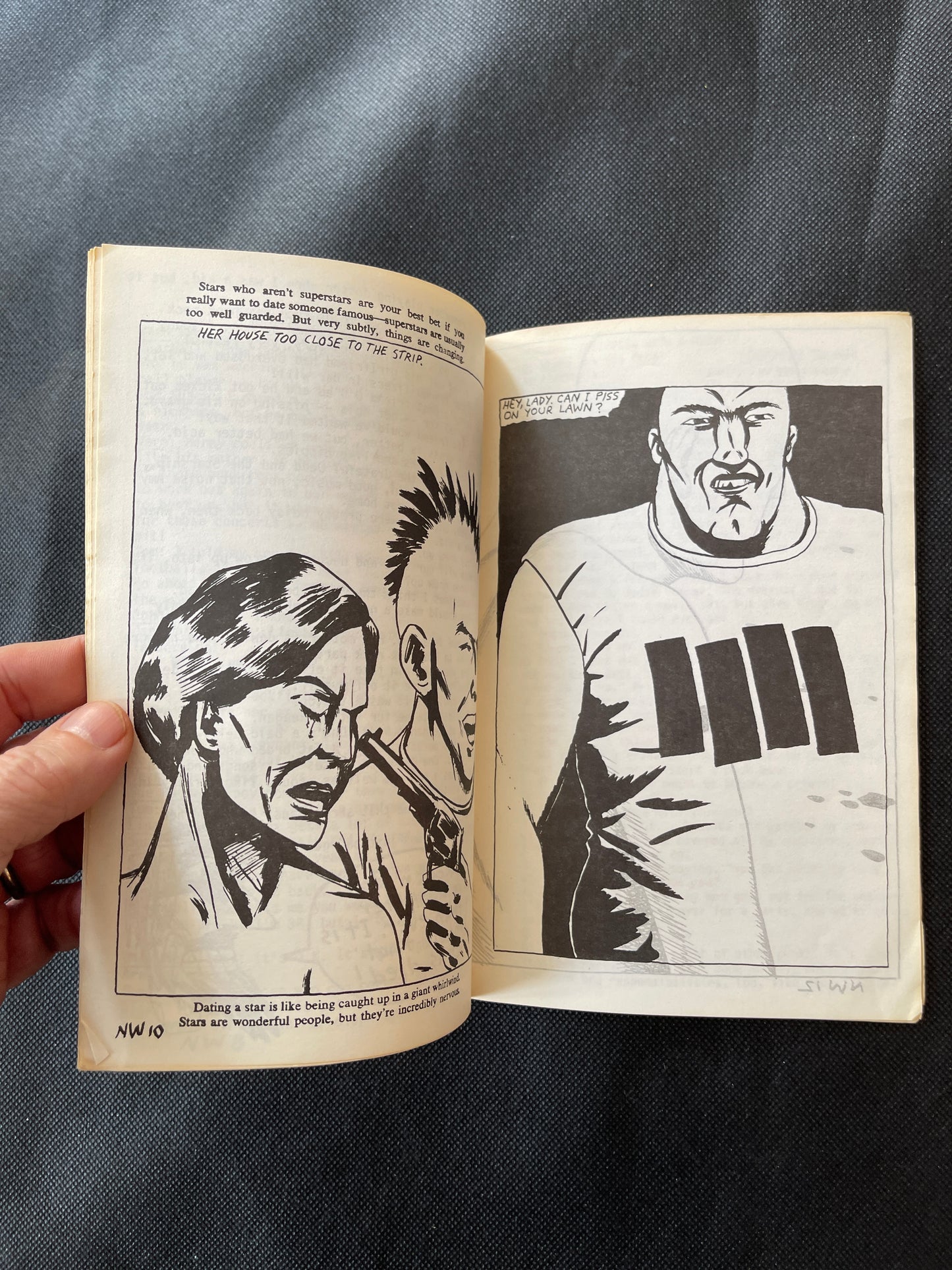 Raymond Pettibon & Nelson. New Wavy Gravy. 1985 limited edition. # 373/500
