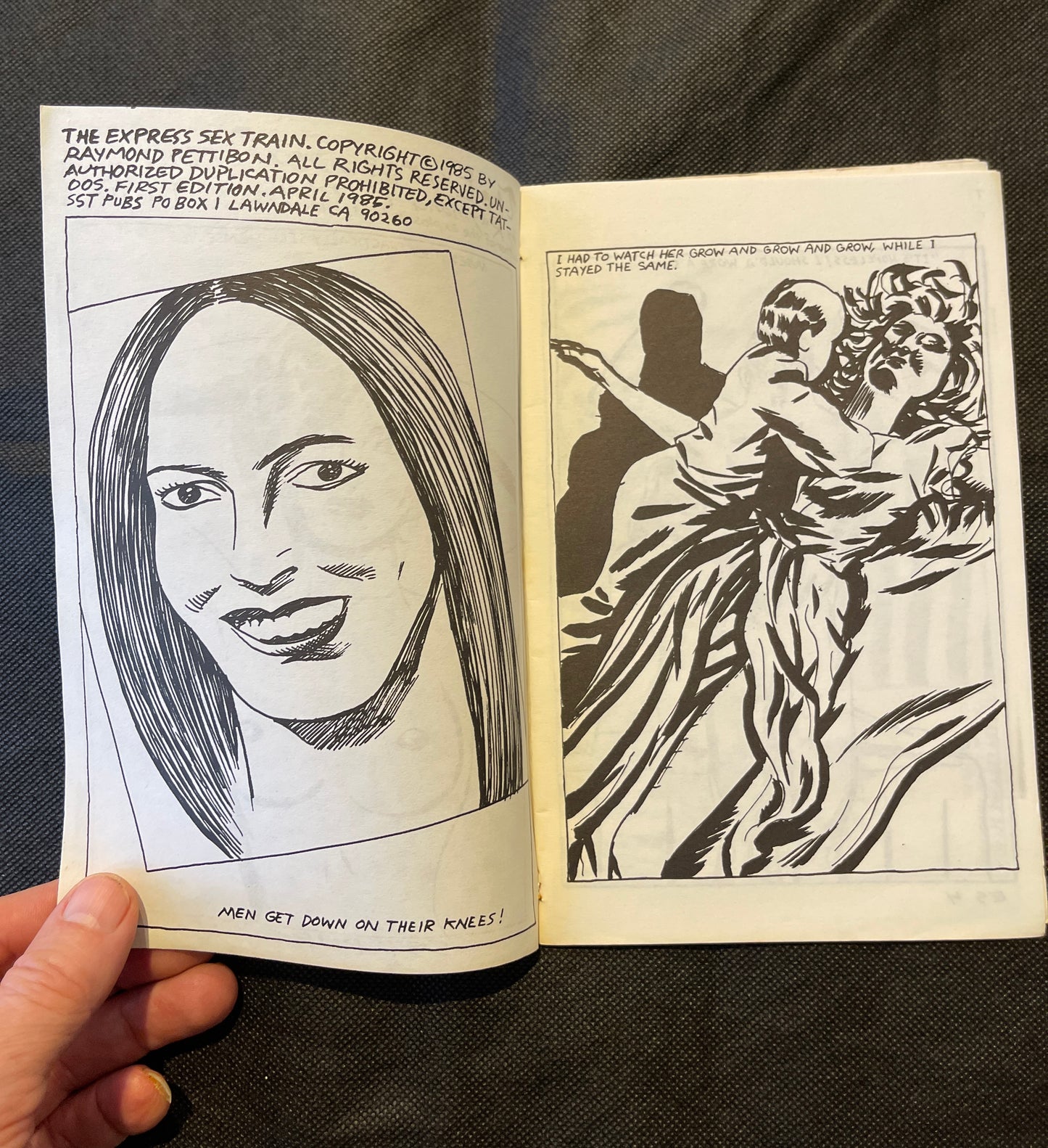Raymond Pettibon – The Express Sex Train. First Edition. SST Publications, 1985.