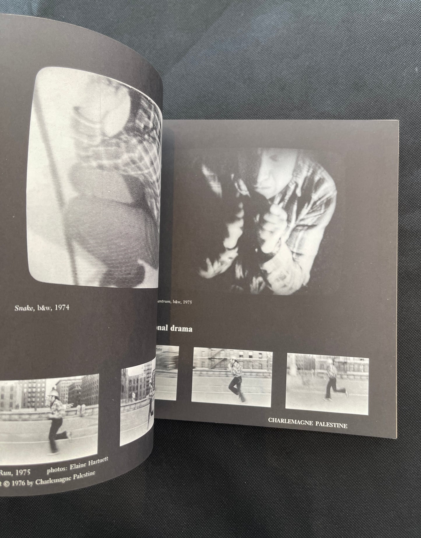 Schneider, Ira & Korot, Beryl (eds.). VIDEO ART: An Anthology. New York: Harcourt Brace Jovanovich / Raindance Foundation, 1976. First edition, paperback