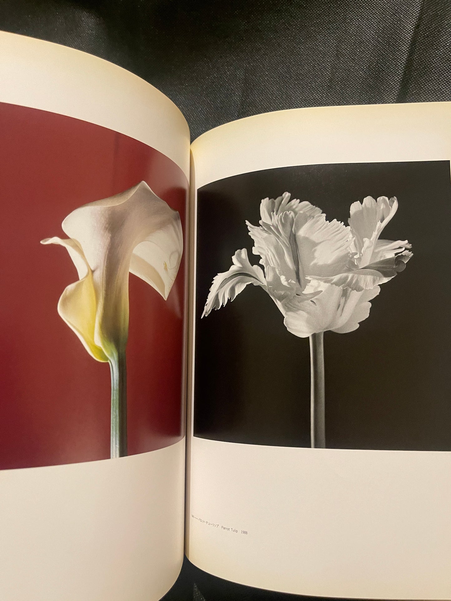 Robert Mapplethorpe 1997 Japan Exhibition Catalog – Rare Japanese Edition – Flowers & Portraits