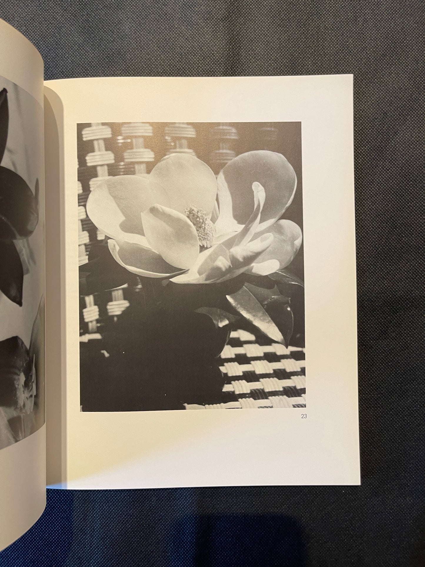 Man Ray: Photographien Paris 1920–1934 – Schirmer/Mosel Photography Monograph