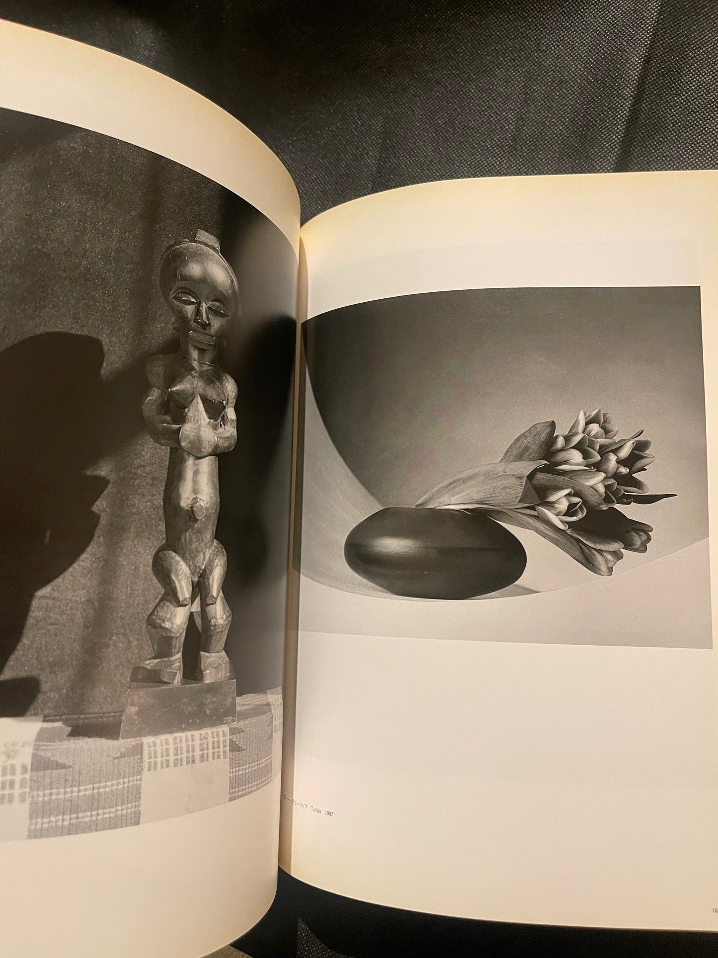 Robert Mapplethorpe 1997 Japan Exhibition Catalog – Rare Japanese Edition – Flowers & Portraits