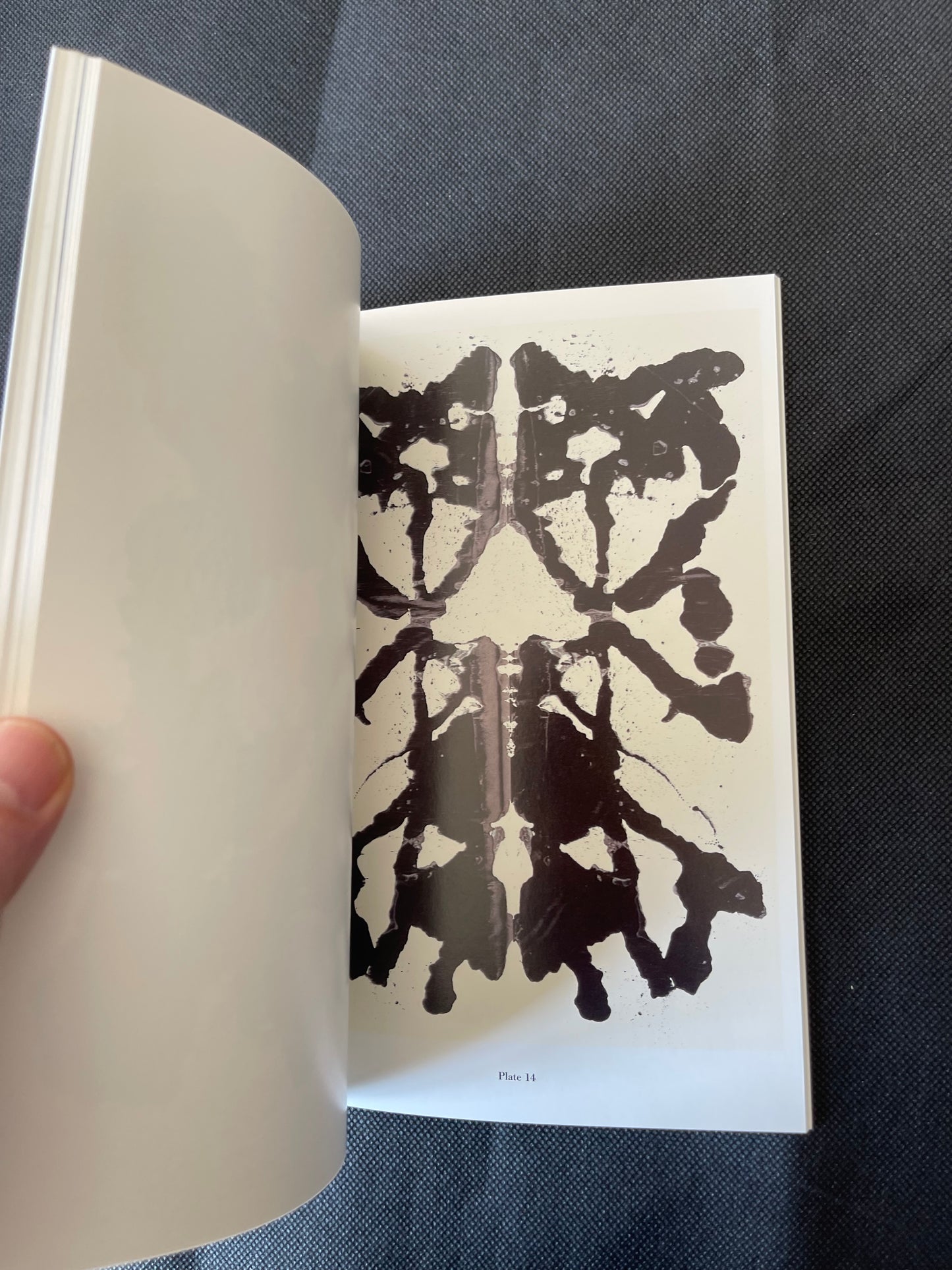 Andy Warhol Rorschach Paintings  Gagosian Fine