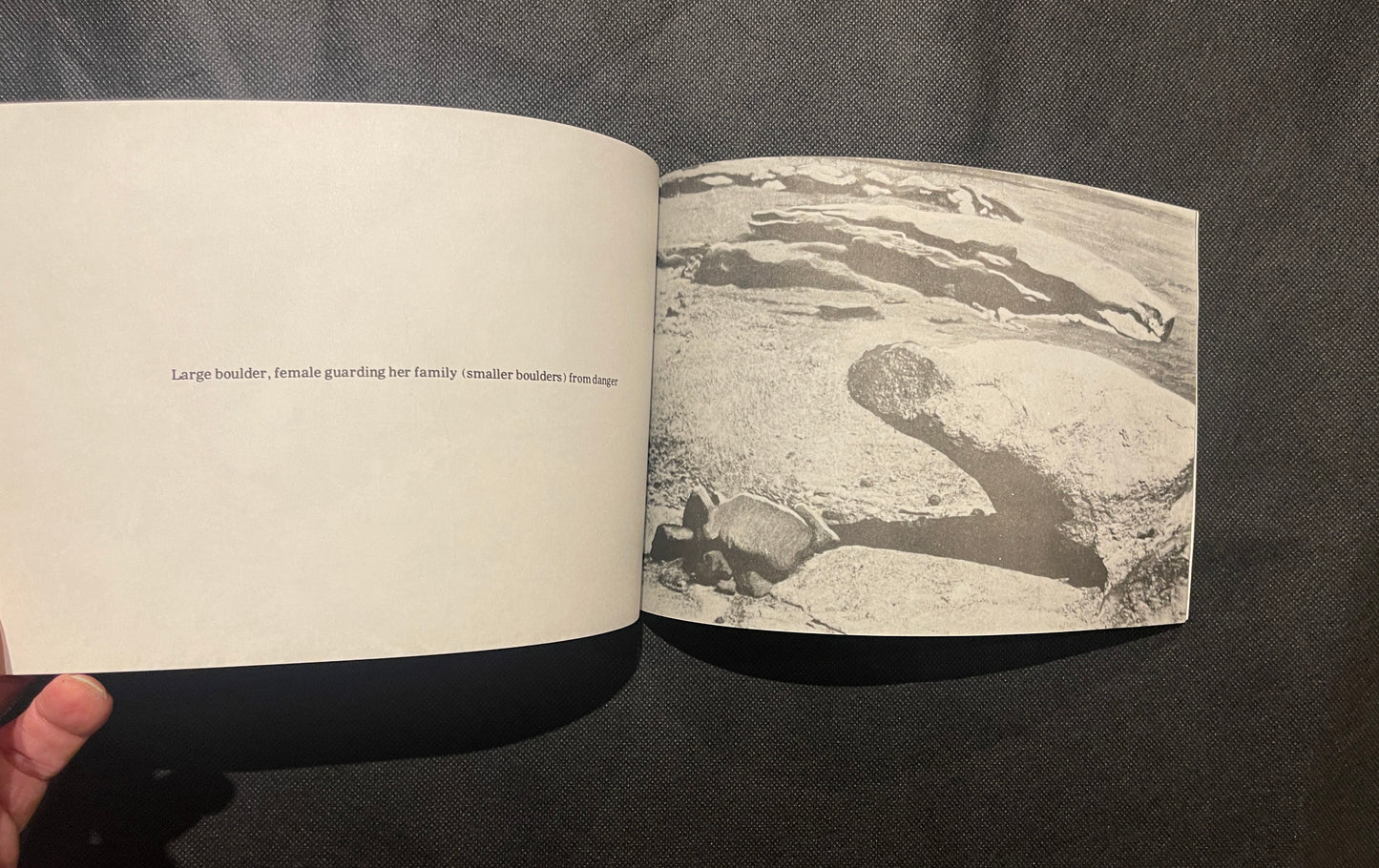 Ulay / Marina Abramović – Two Performances and DETOUR (Experimental Art Foundation, Adelaide, 1979)