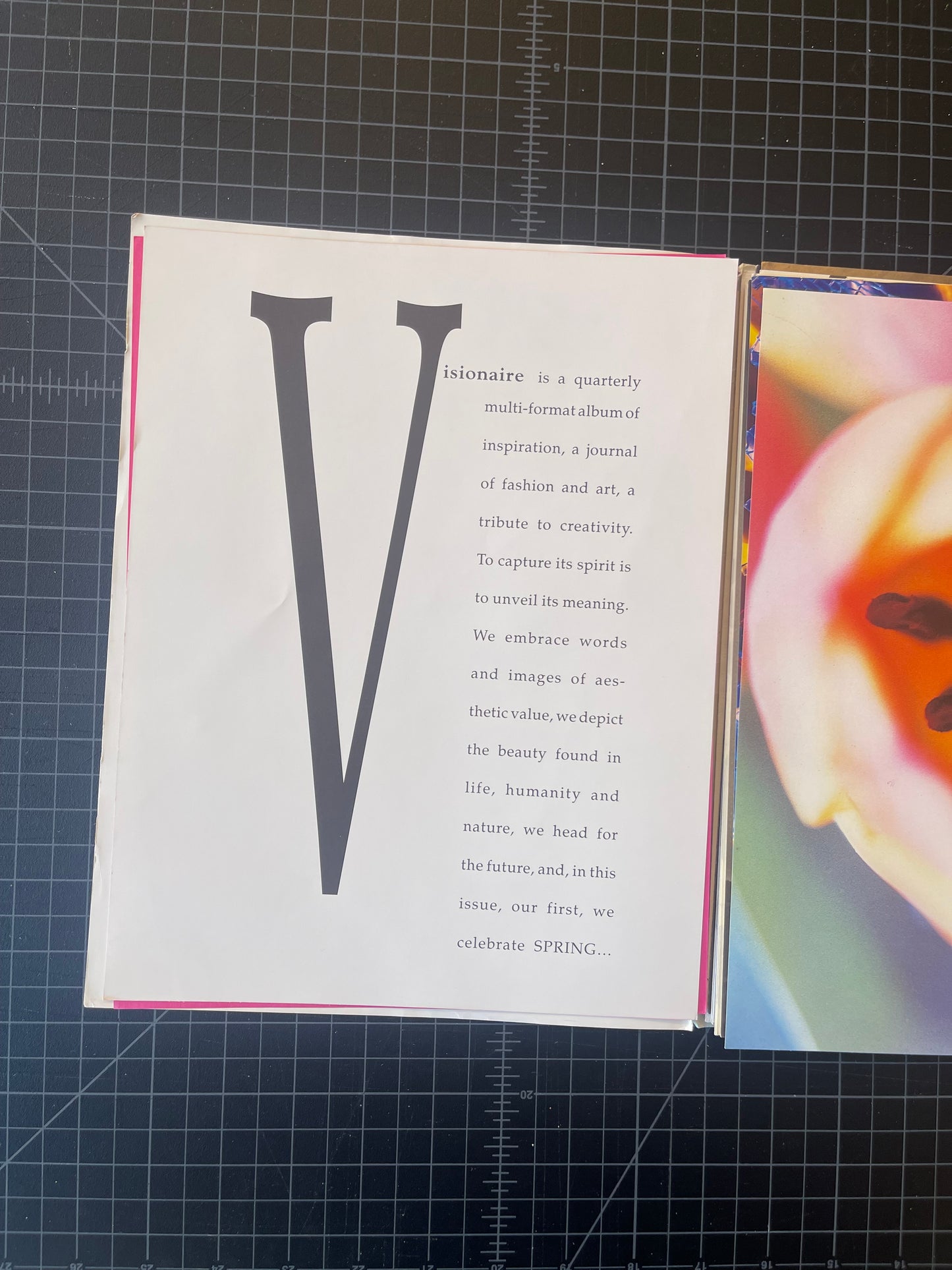 Visionaire Issue 1 "the Innocent issue" #273/1000