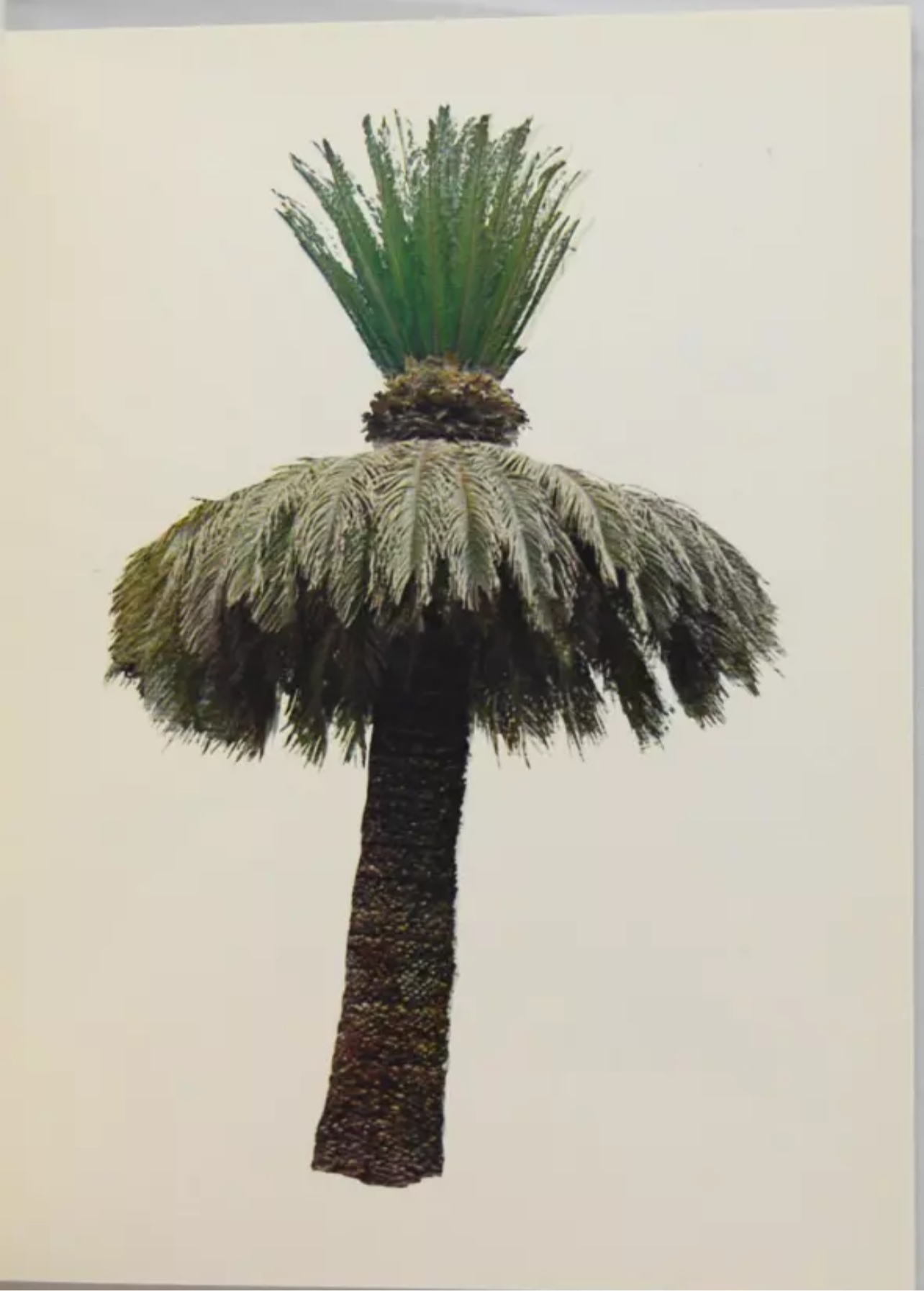 Ruscha, Ed; Colored People [1ST EDITION - FINE COPY]