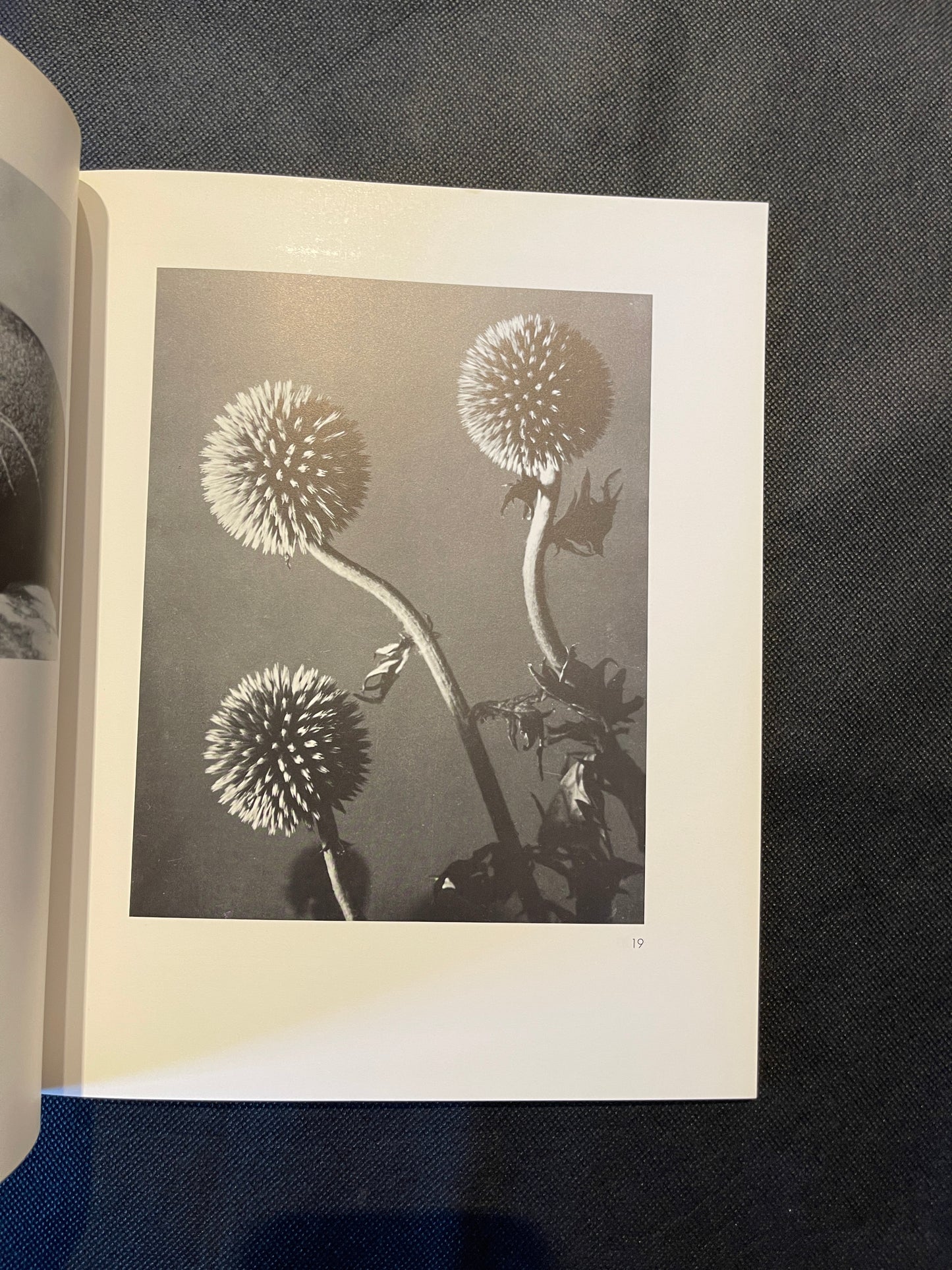 Man Ray: Photographien Paris 1920–1934 – Schirmer/Mosel Photography Monograph