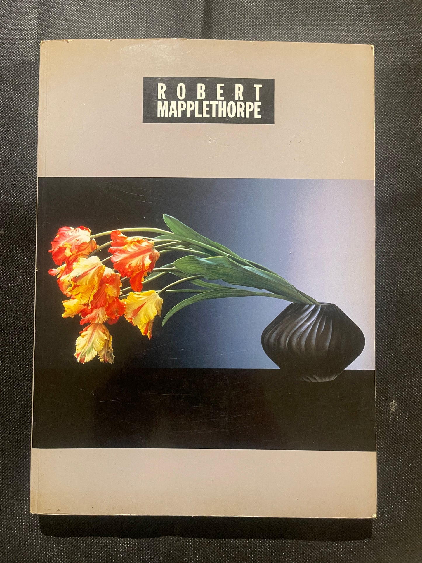 Robert Mapplethorpe 1997 Japan Exhibition Catalog – Rare Japanese Edition – Flowers & Portraits